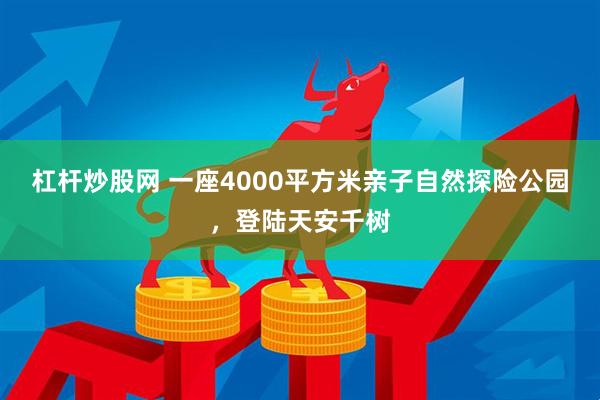 杠杆炒股网 一座4000平方米亲子自然探险公园，登陆天安千树