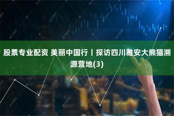 股票专业配资 美丽中国行丨探访四川雅安大熊猫溯源营地(3)